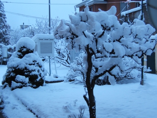 Nevicata 25 Feb 2005